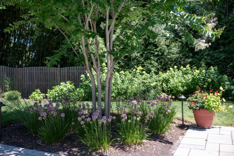 backyard landscaping native new jersey plants scotch plains