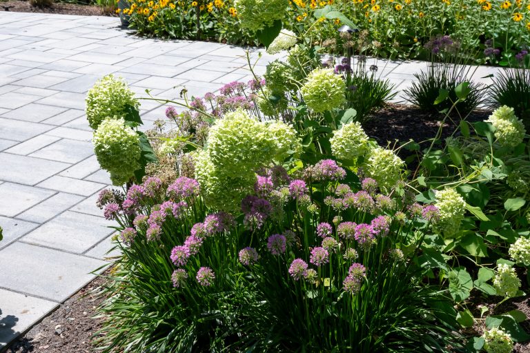backyard flowers paver patio scotch plains new jersey