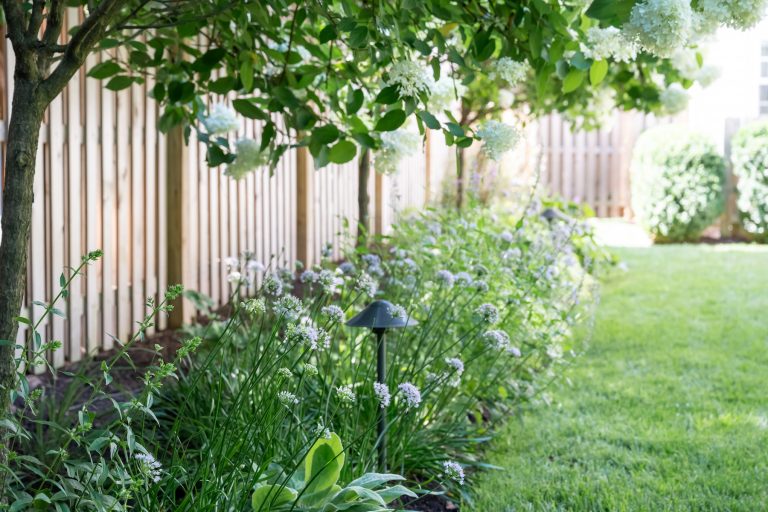backyard landscape lighting and plantings westfield new jersey