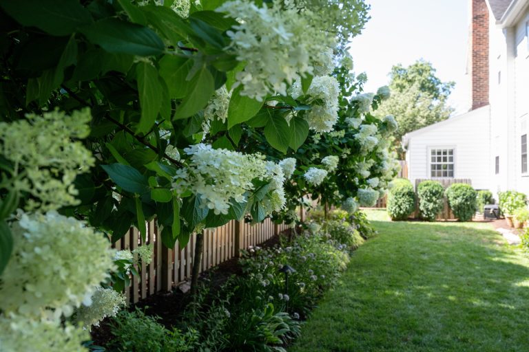backyard plantings westfield nj