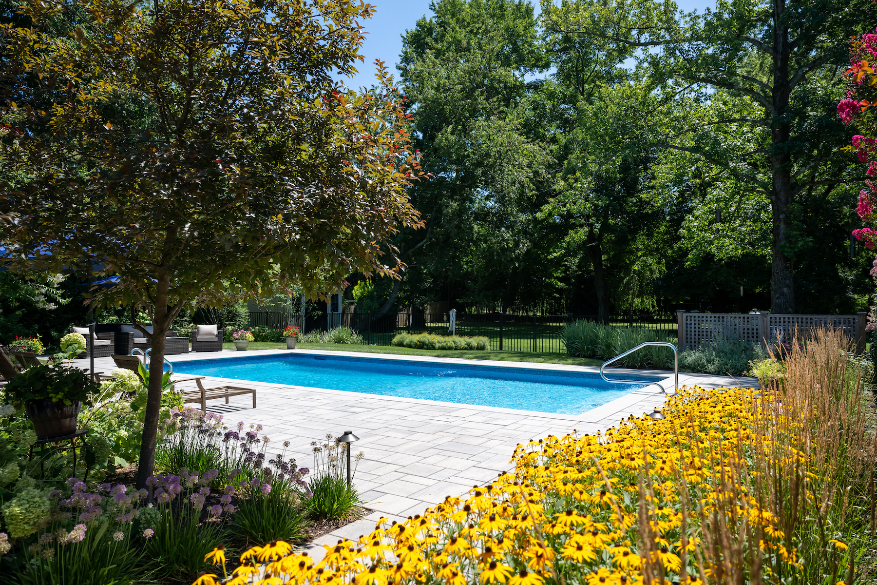 backyard pool coping paver patio new jersey plantings scotch plains new jersey