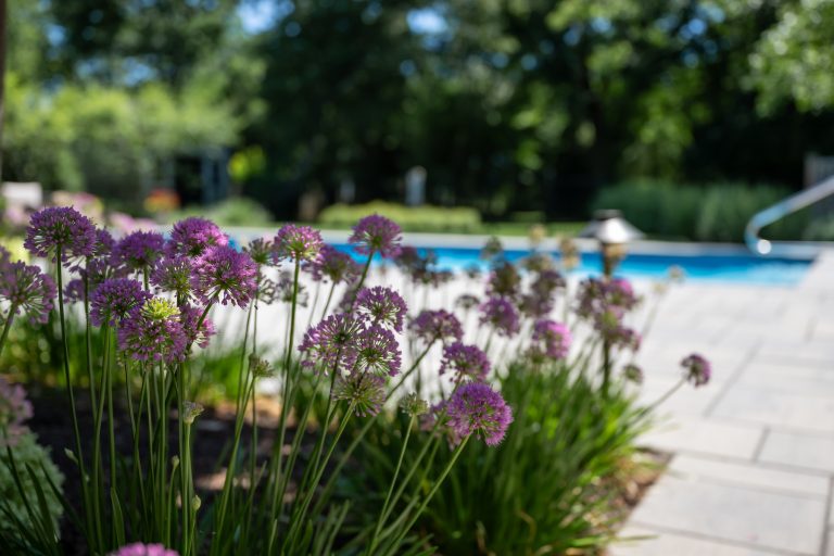 flowers paver patio scotch plains new jersey