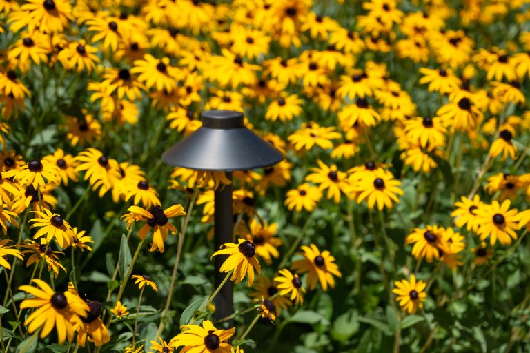 landscape lighting flowers scotch plains new jersey