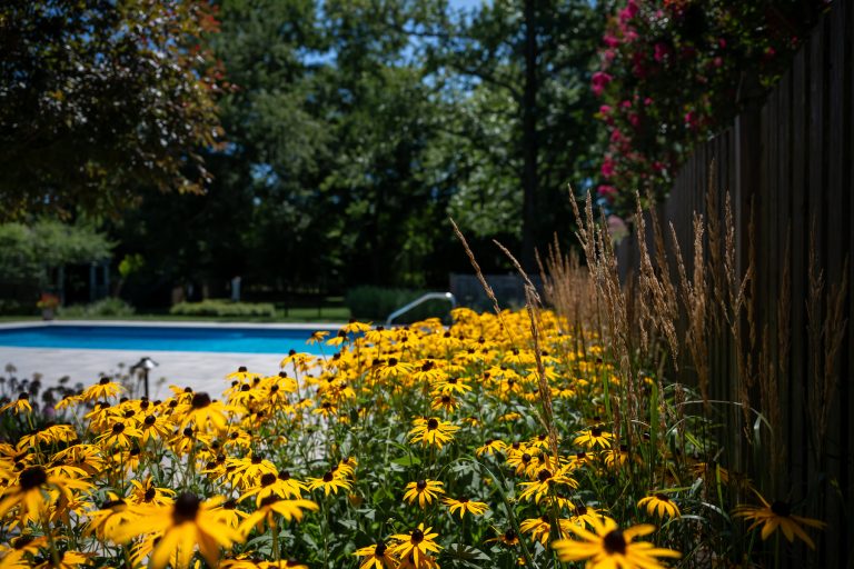 landscaping near pool native new jersey plants scotch plains new jersey